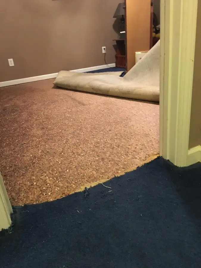 Carpet pad removal revealing water damage during Water Mitigation Services in Zephyrhills West