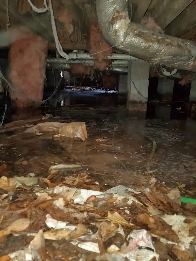 Crawl space flood assessment for Leak Detection & Repair in Zephyrhills West
