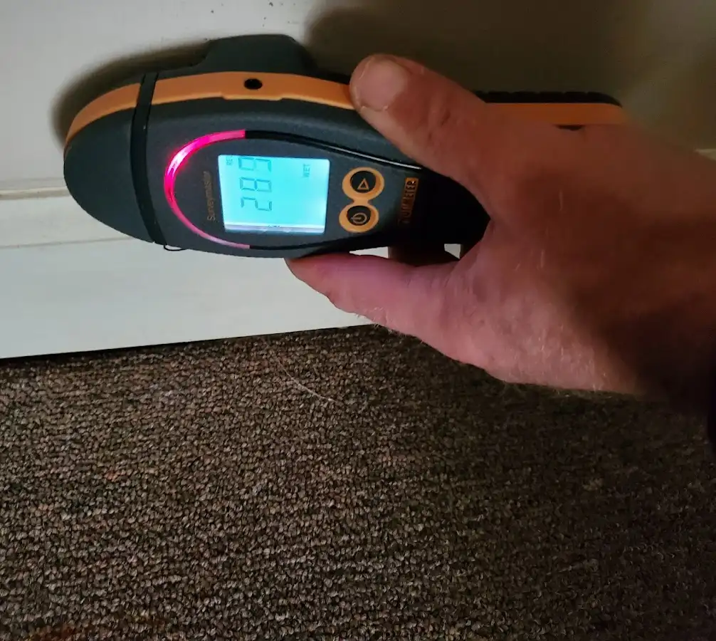 Moisture detection at baseboard during Mold Inspection & Testing in Zephyrhills West