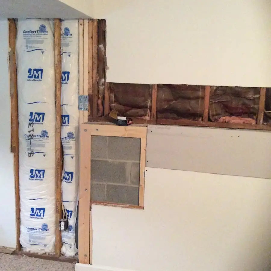Wall insulation replacement during Odor Removal & Deodorization in Zephyrhills West
